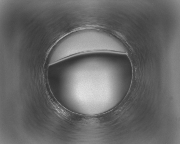 X0000056011260200508190845