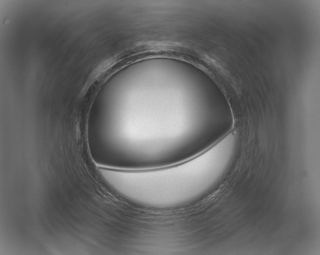 X0000056011261200508190845