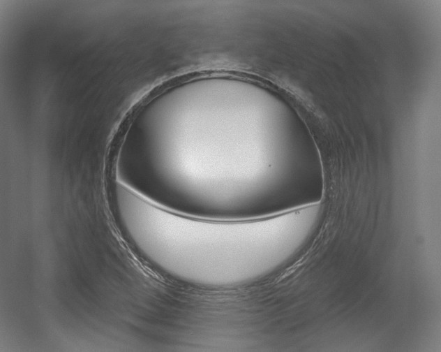 X0000056011264200508190845