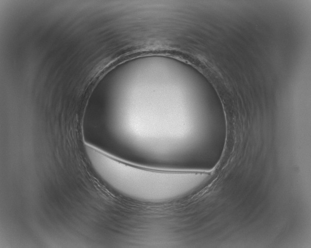 X0000056011265200508190845
