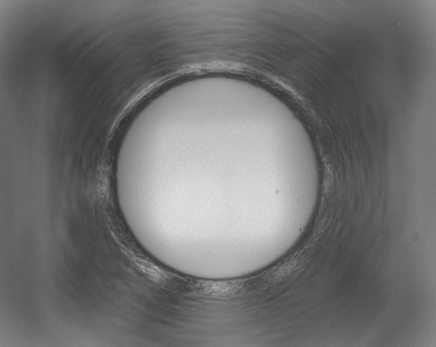 X0000056011266200508190845