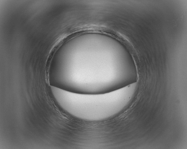 X0000056011267200508190845