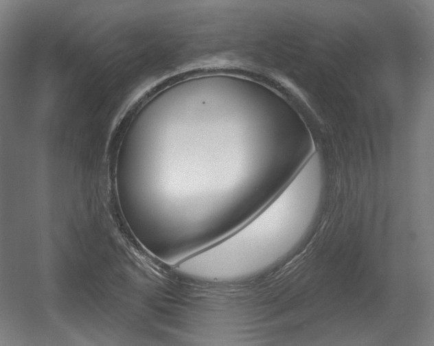 X0000056011270200508190845