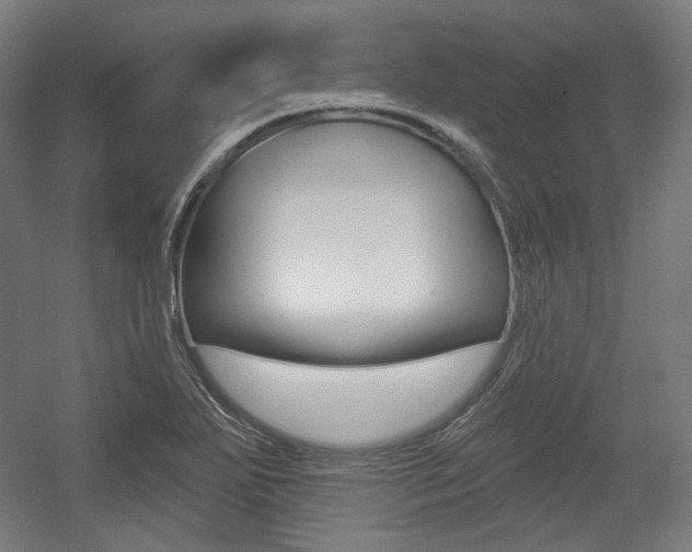 X0000056011271200508190845