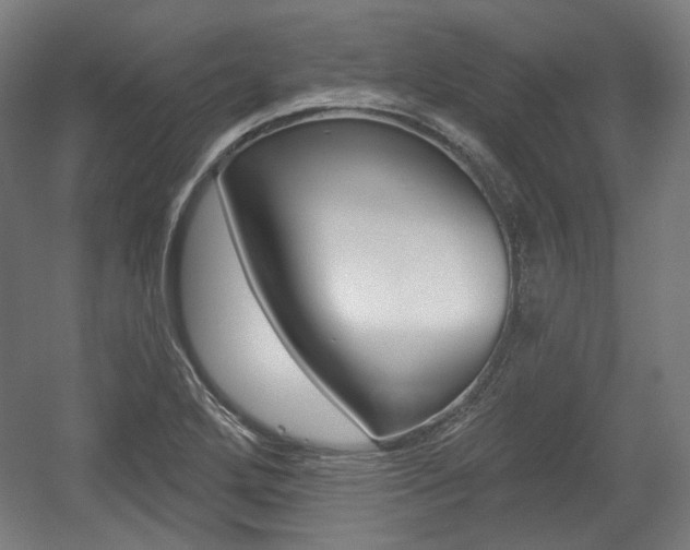 X0000056011272200508190844