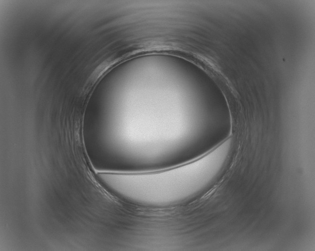 X0000056011273200508190844