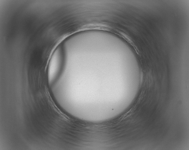 X0000056011275200508190844