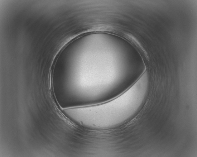 X0000056011276200508190844