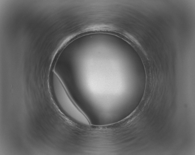 X0000056011277200508190844