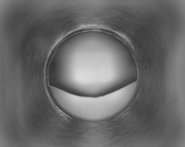 X0000056011279200508190844