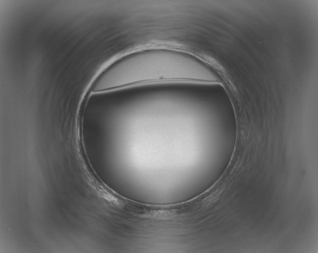 X0000056011280200508190844