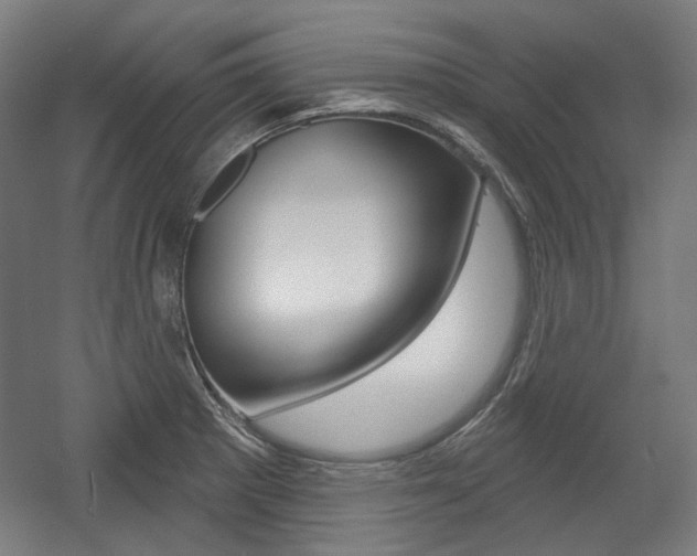 X0000056011281200508190844