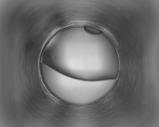 X0000056011283200508190844