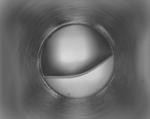 X0000056011284200508190844