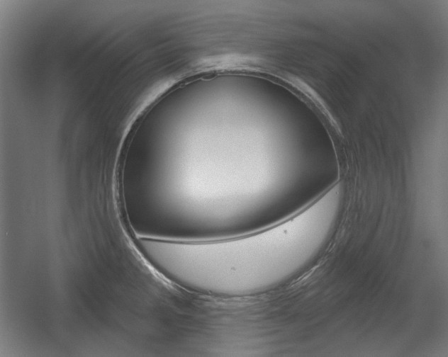 X0000056011285200508190844