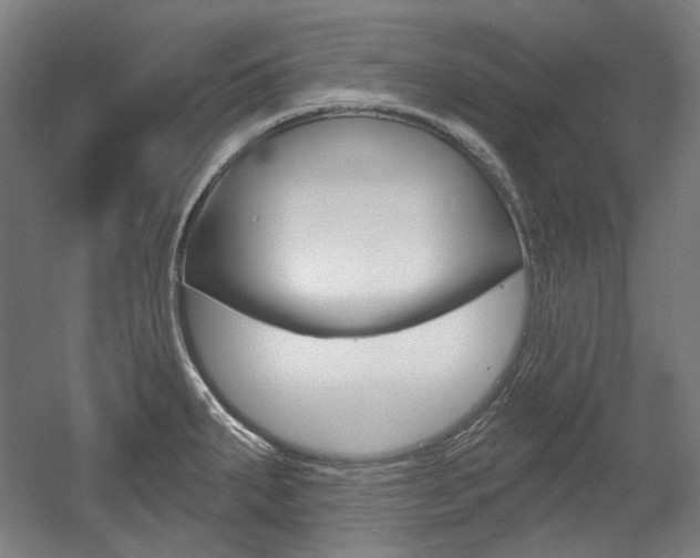 X0000056011287200508190844