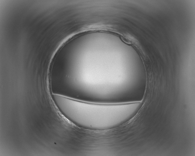 X0000056011288200508190844