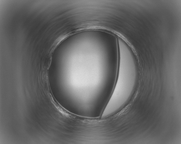 X0000056011289200508190844
