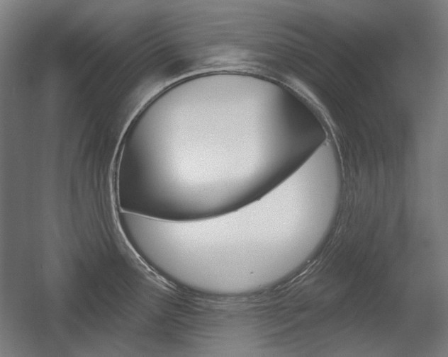 X0000056011291200508190844