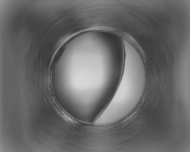 X0000056011292200508190844