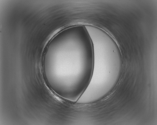 X0000056011293200508190844
