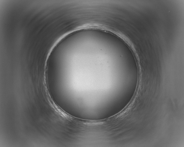 X0000056011296200508190844