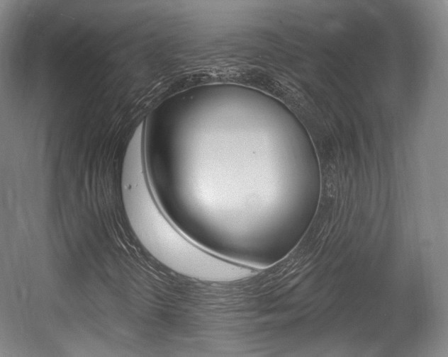 X0000056011298200508190843