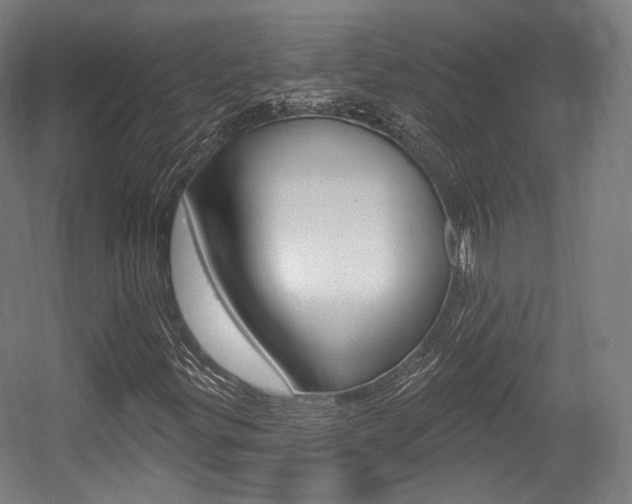 X0000056011299200508190843