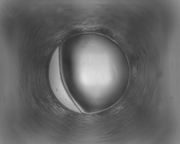X0000056011300200508190843