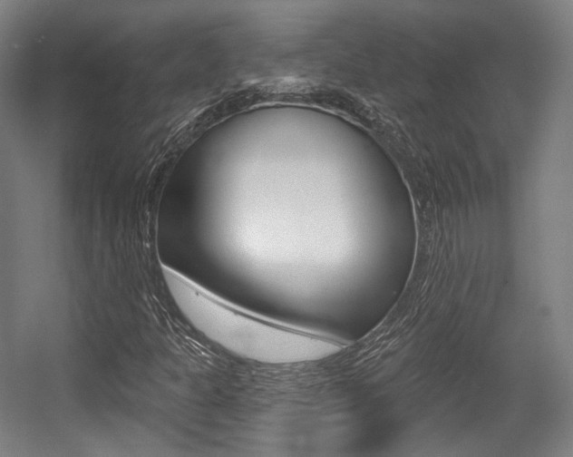X0000056011301200508190843