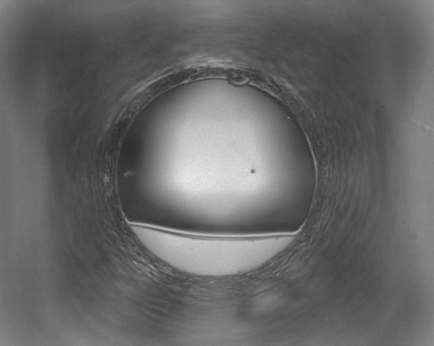 X0000056011303200508190843