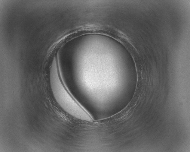 X0000056011304200508190843