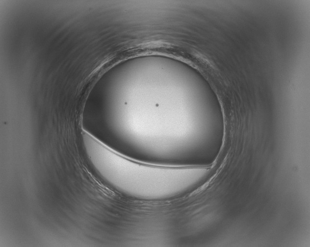 X0000056011305200508190843