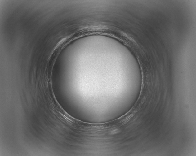 X0000056011306200508190843