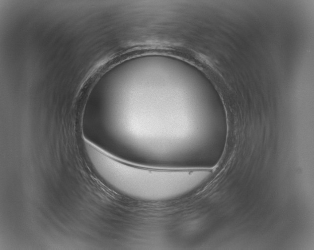 X0000056011307200508190843