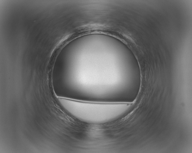 X0000056011309200508190843