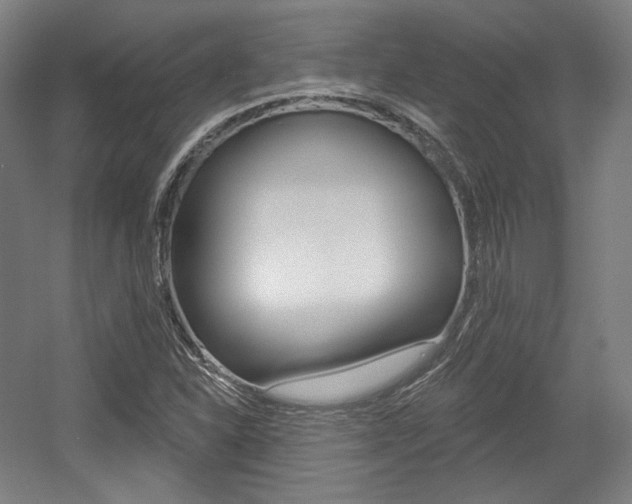 X0000056011310200508190843