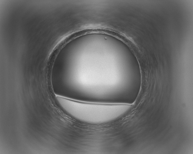 X0000056011311200508190844