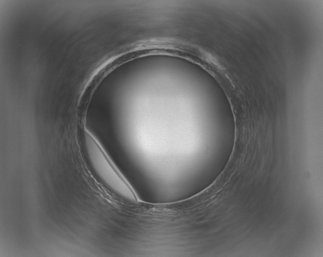 X0000056011312200508190844