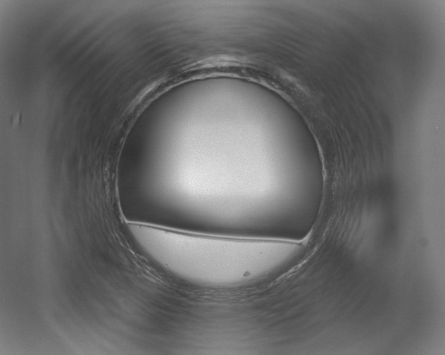 X0000056011313200508190844