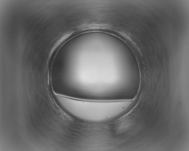X0000056011317200508190844