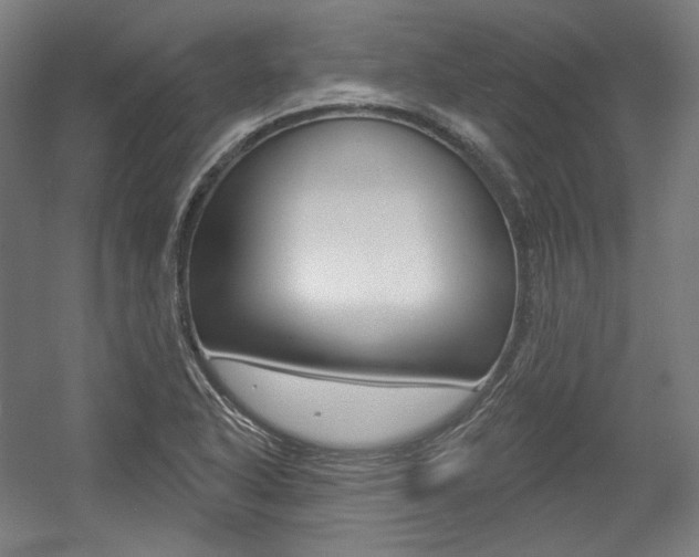 X0000056011318200508190844