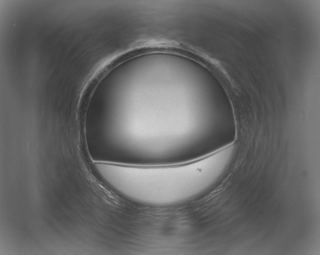 X0000056011319200508190844