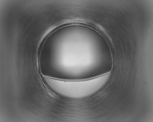 X0000056011320200508190844
