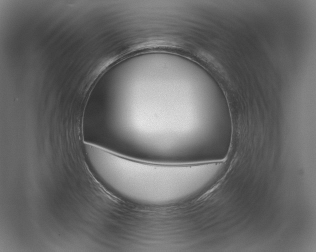 X0000056011321200508190844