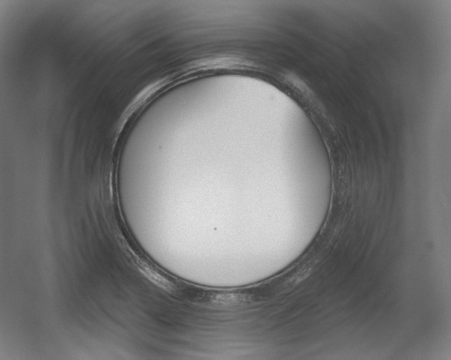 X0000056011322200508190844