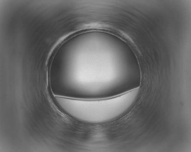 X0000056011323200508190844
