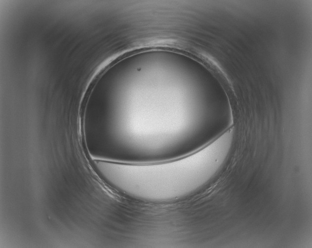 X0000056011324200508190844