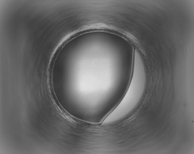 X0000056011326200508190844