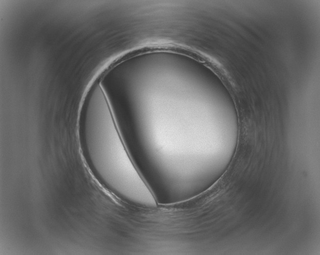 X0000056011327200508190844